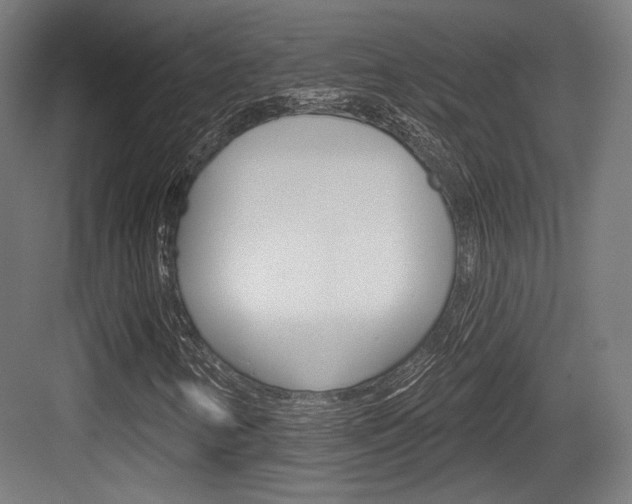 X0000084021346200702160816