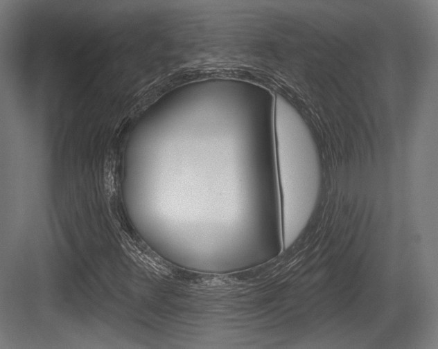 X0000084021348200702160816