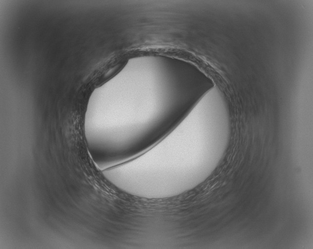 X0000084021351200702160815