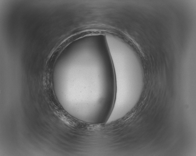 X0000084021352200702160815