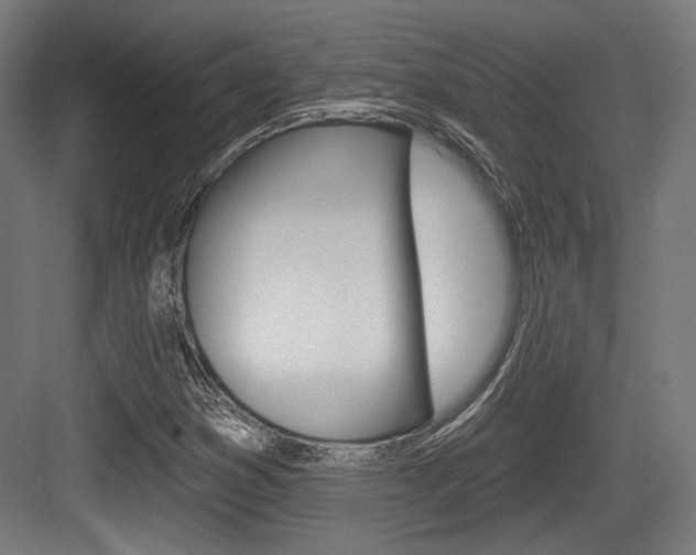 X0000084021353200702160815