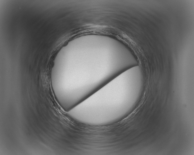 X0000084021354200702160815