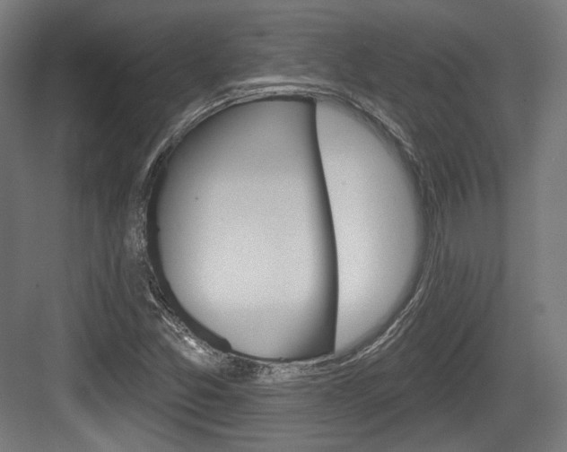 X0000084021357200702160815