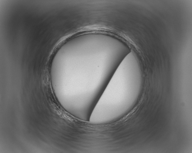 X0000084021358200702160815