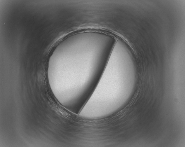 X0000084021359200702160815