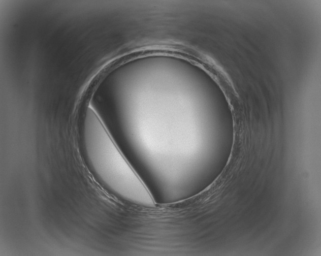 X0000084021360200702160815