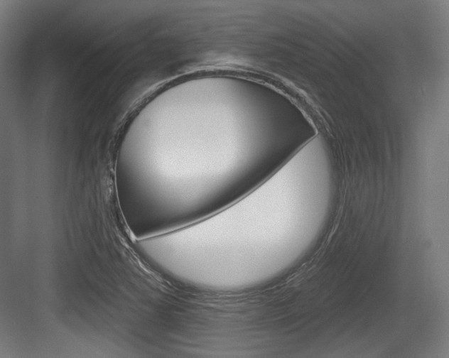 X0000084021363200702160815