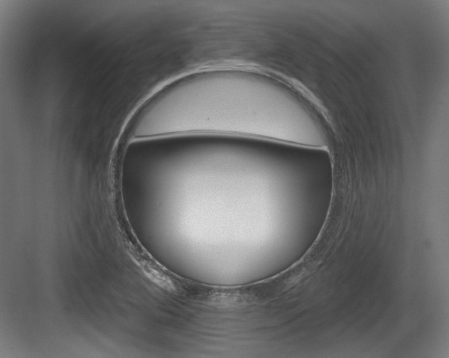 X0000084021364200702160815