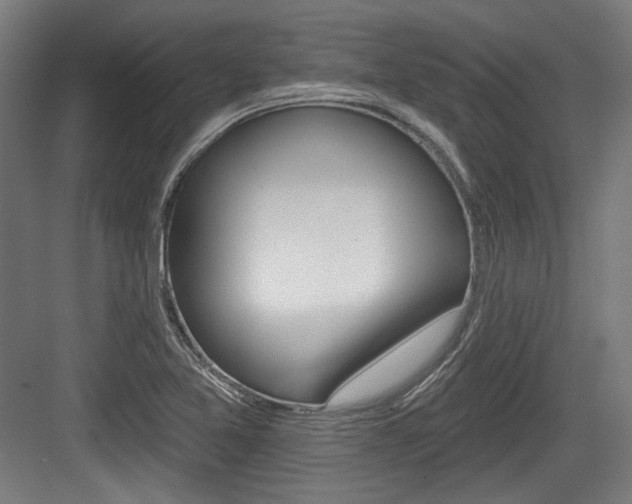 X0000084021365200702160815