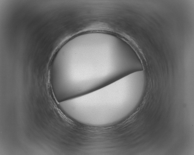 X0000084021366200702160815