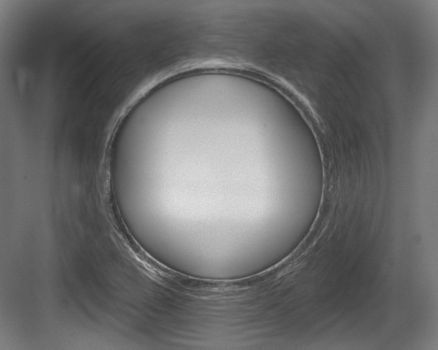 X0000084021367200702160815