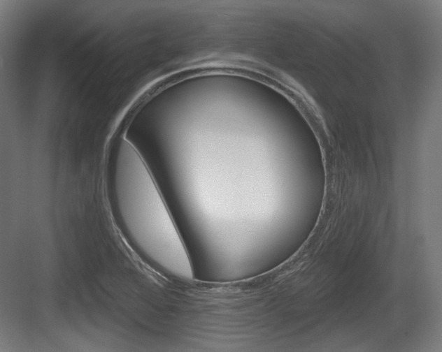 X0000084021368200702160815