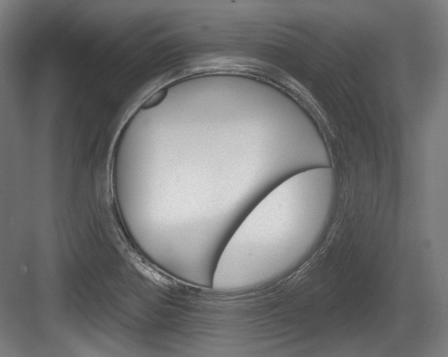 X0000084021370200702160815