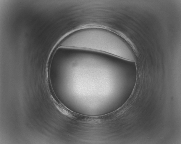 X0000084021372200702160815