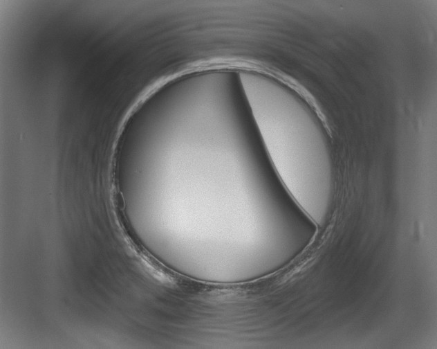 X0000084021373200702160815