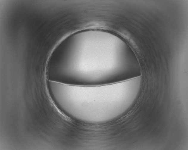 X0000084021375200702160815