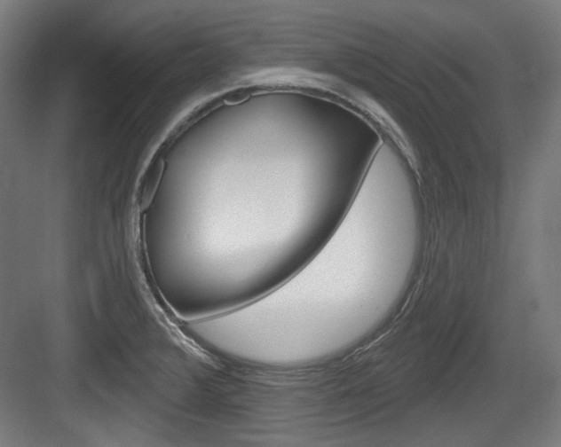 X0000084021376200702160815