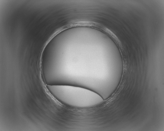 X0000084021378200702160815