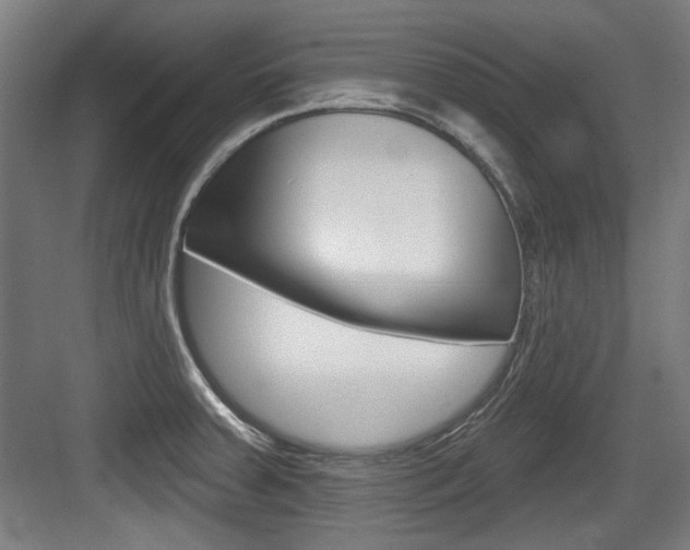 X0000084021379200702160815