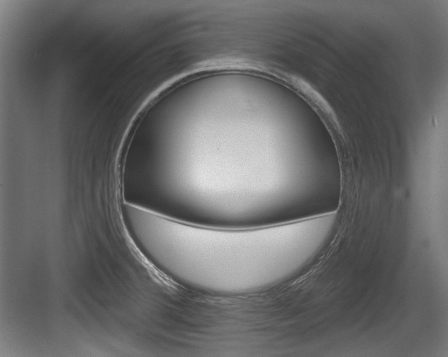 X0000084021380200702160815