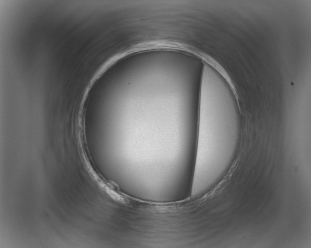 X0000084021381200702160815