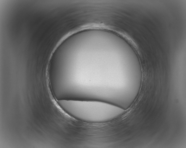 X0000084021382200702160815