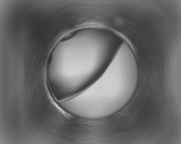 X0000084021383200702160815