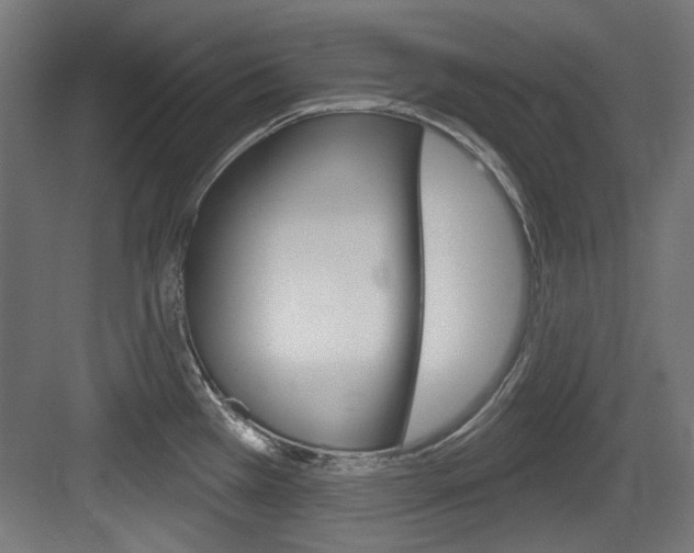 X0000084021385200702160815