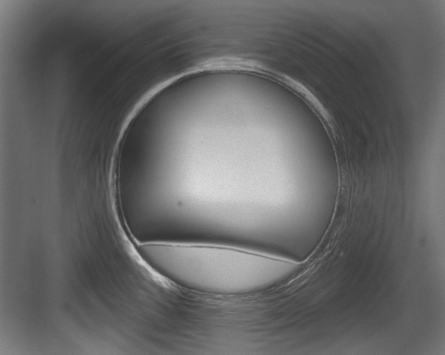X0000084021387200702160815