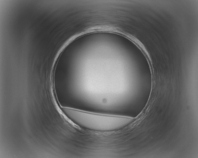X0000084021389200702160815