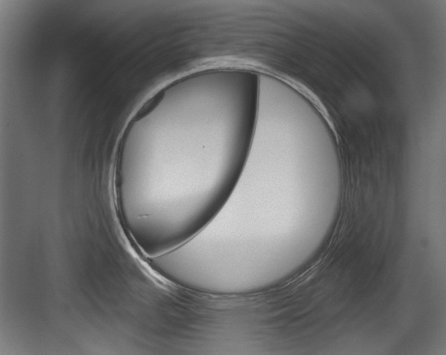 X0000084021391200702160815