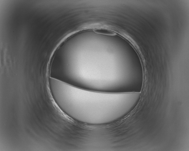 X0000084021392200702160815