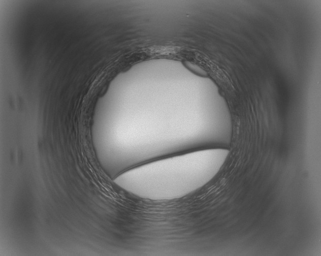 X0000084021393200702160814