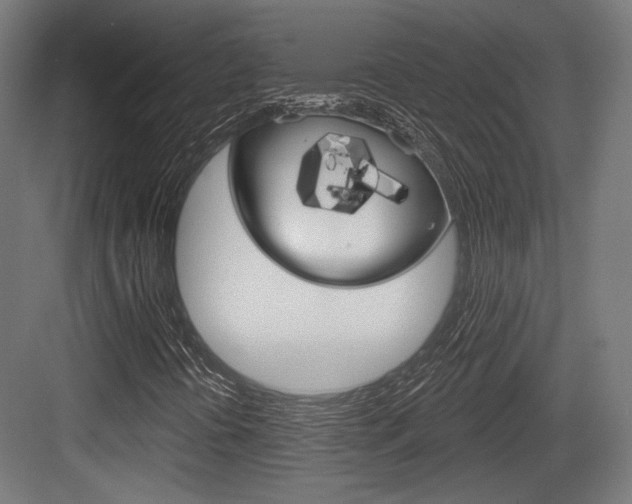 X0000084021394200702160814