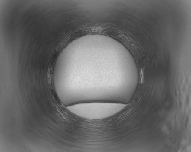 X0000084021395200702160814
