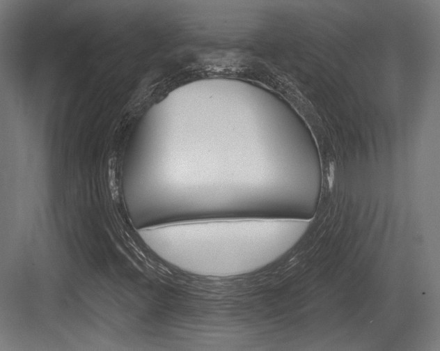 X0000084021396200702160814