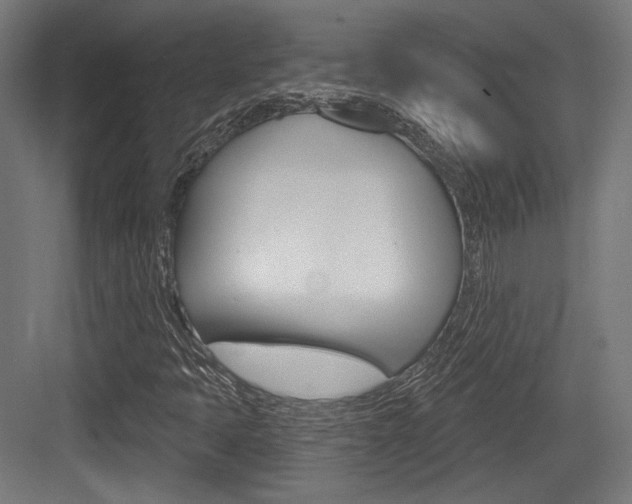 X0000084021397200702160814