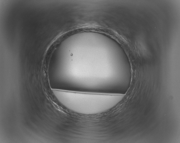 X0000084021400200702160814