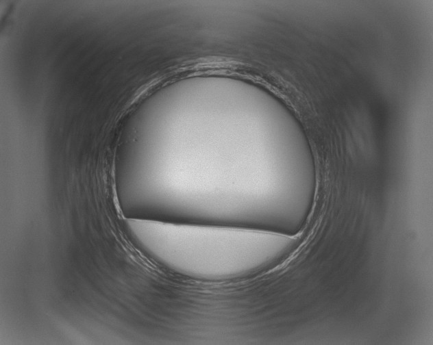 X0000084021401200702160814