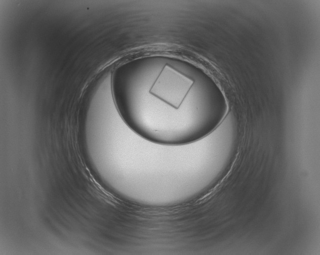 X0000084021402200702160814