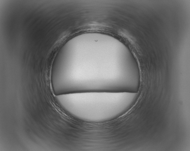 X0000084021403200702160814