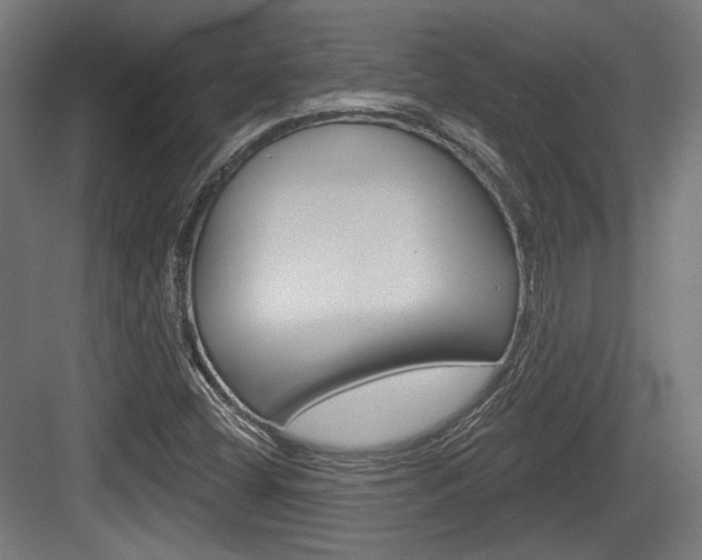 X0000084021404200702160814