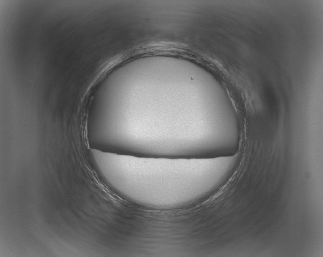 X0000084021405200702160814