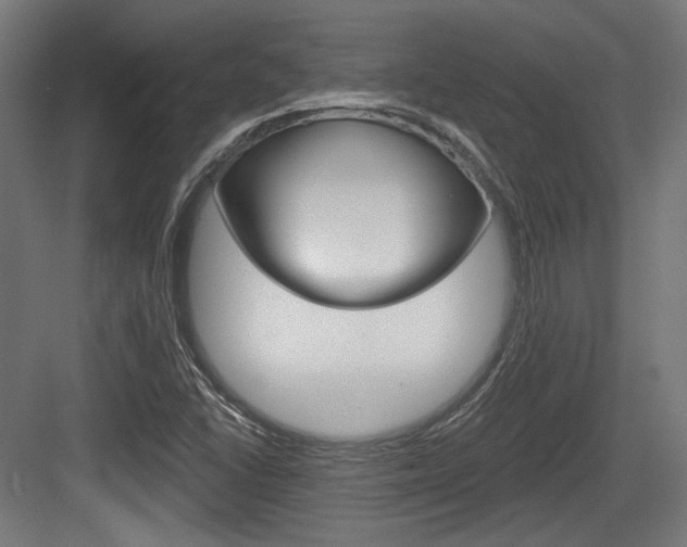 X0000084021406200702160814