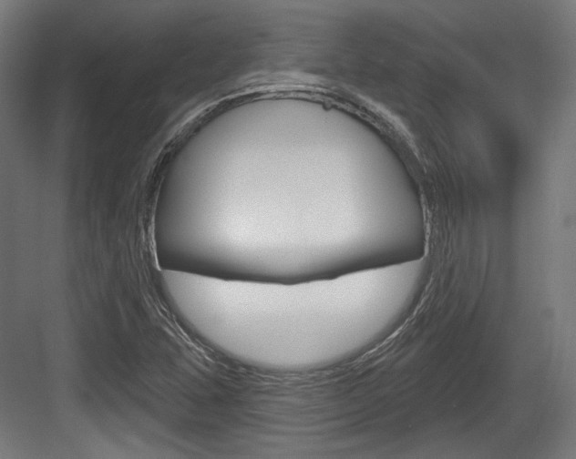 X0000084021407200702160814