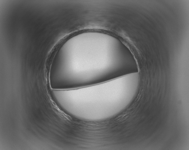 X0000084021408200702160814