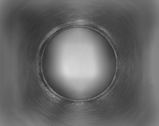 X0000084021410200702160814