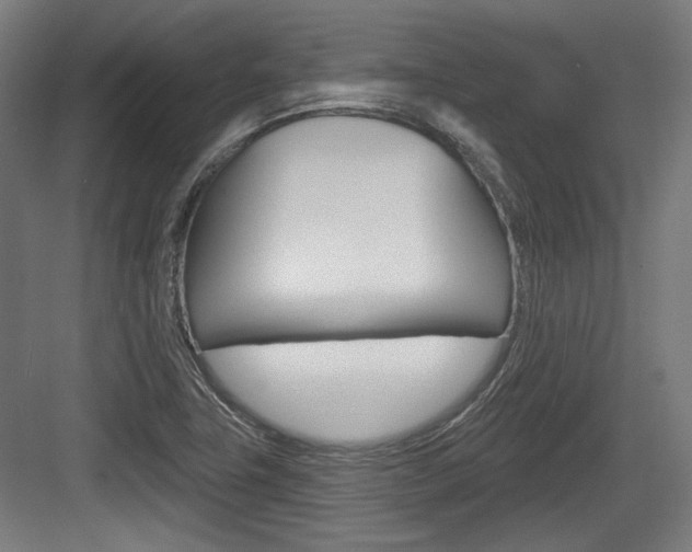 X0000084021411200702160814