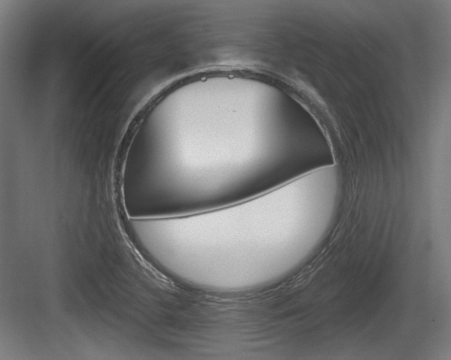 X0000084021412200702160814