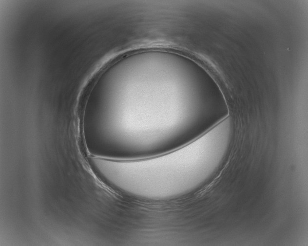 X0000084021414200702160814